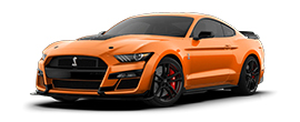 mustang royal